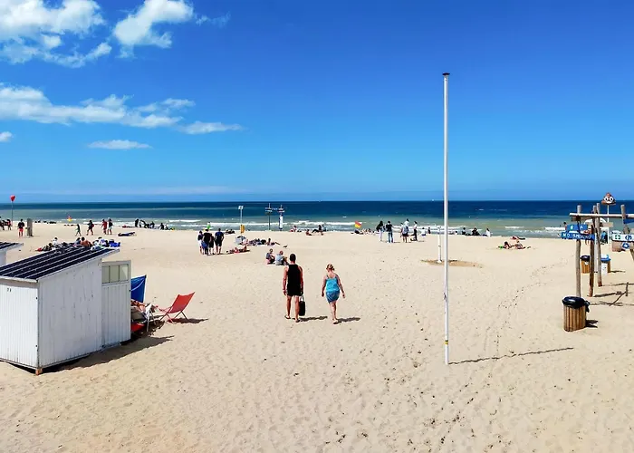 2 Bedroom Amazing In Apartment